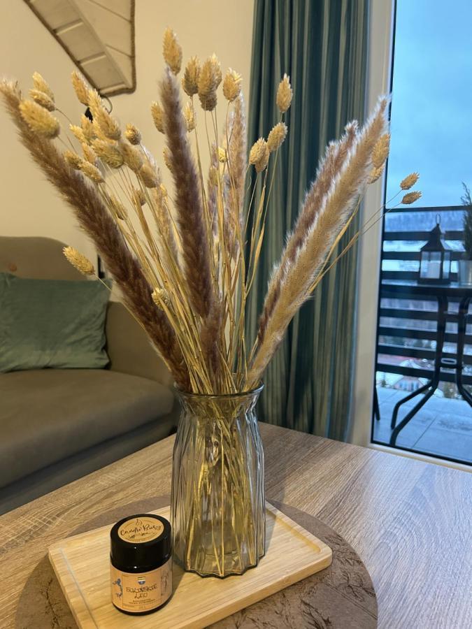 Amaretto Apartamenty Solina - Balia Z Jacuzzi I Sauna 索利纳 外观 照片