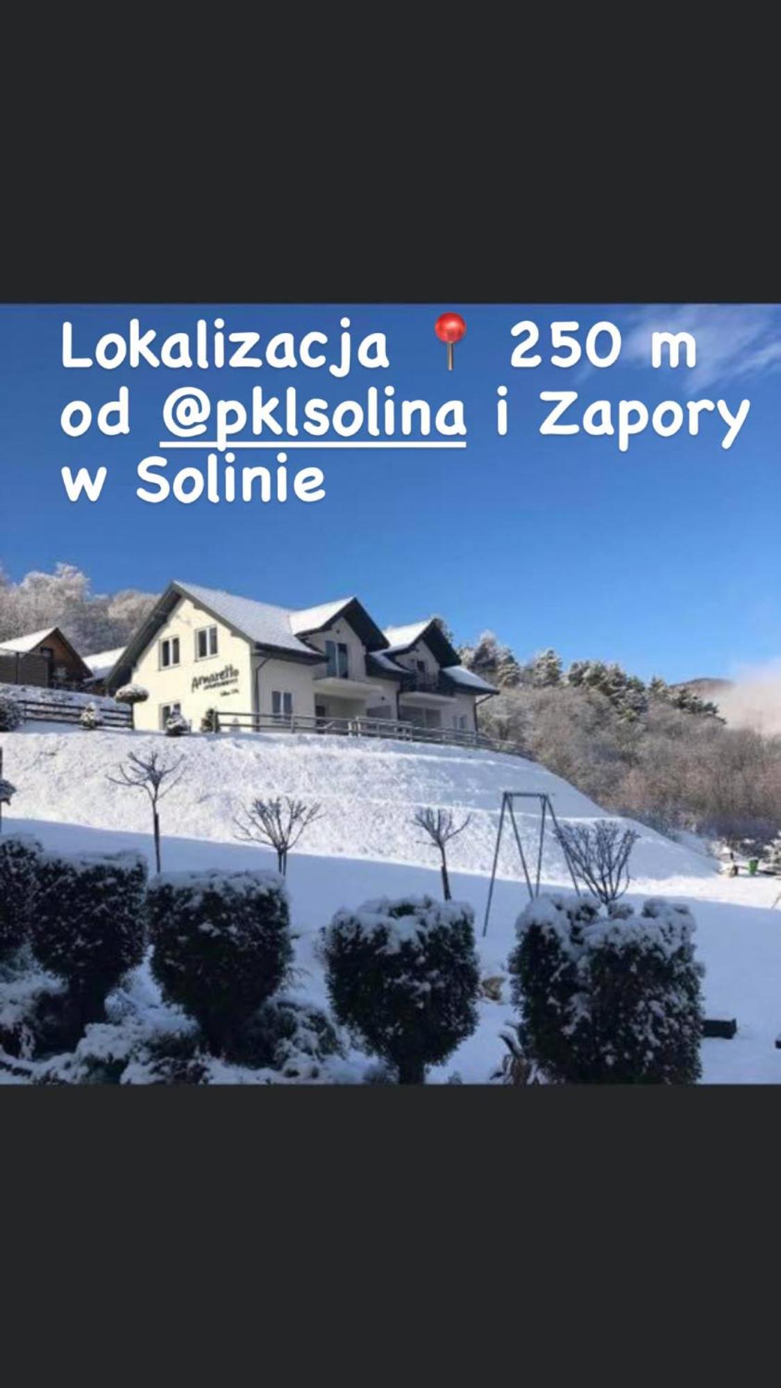 Amaretto Apartamenty Solina - Balia Z Jacuzzi I Sauna 索利纳 外观 照片