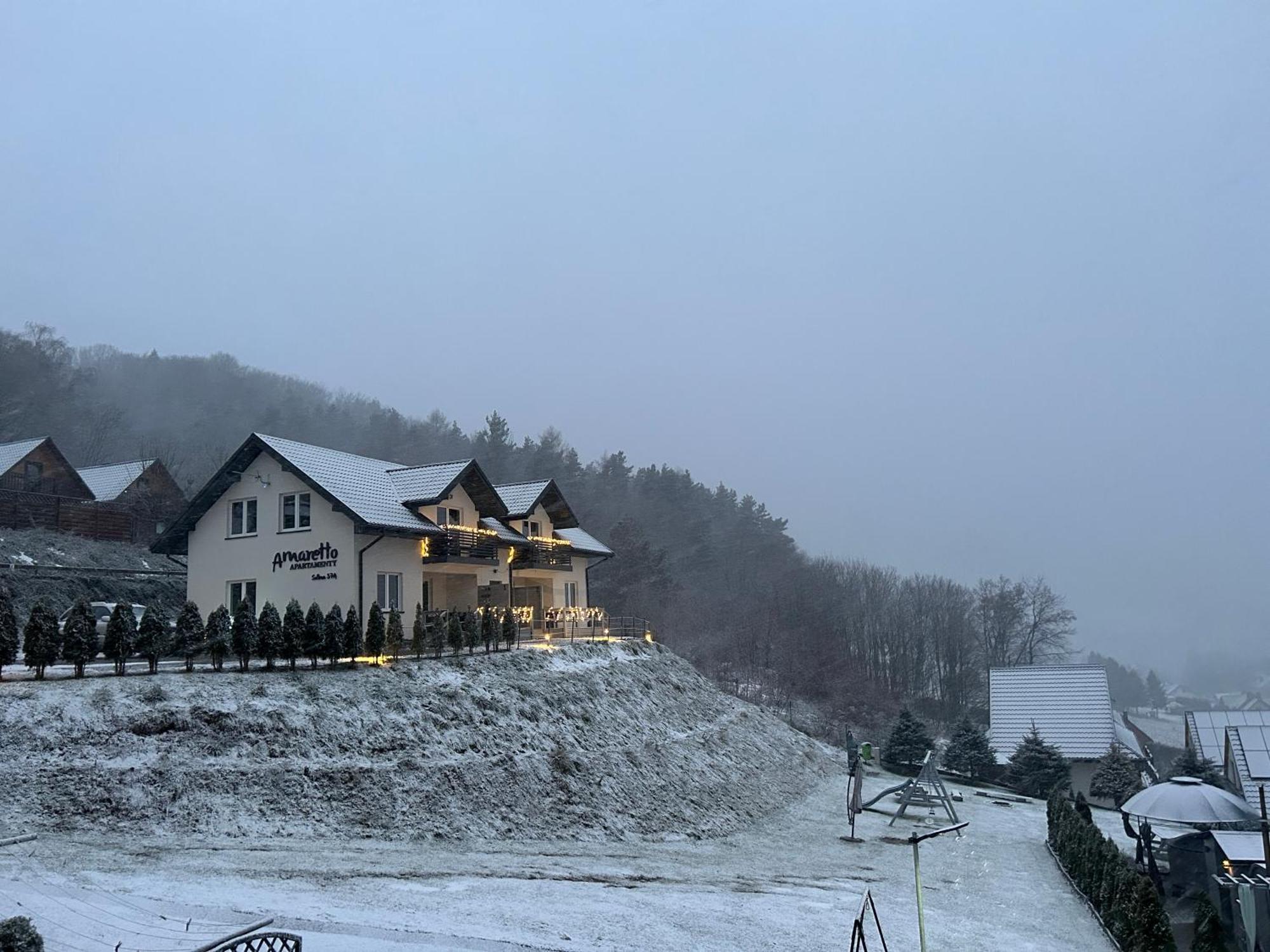 Amaretto Apartamenty Solina - Balia Z Jacuzzi I Sauna 索利纳 外观 照片